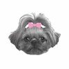 tessalanz